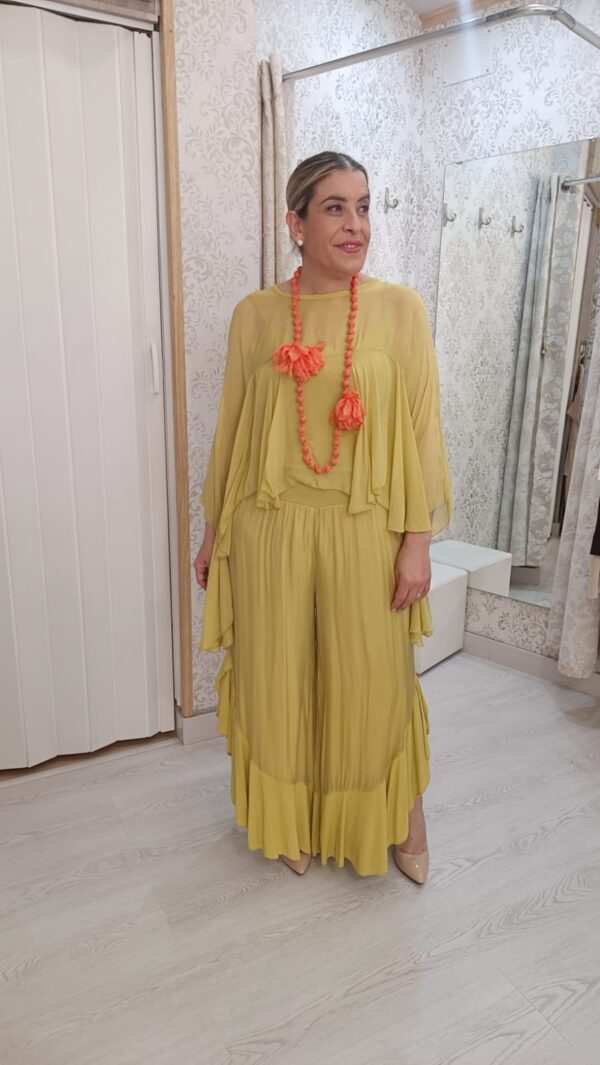 CONJUNTO ARACELI